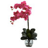 Double Phal Orchid With Vase Arrangement, Dark Pink