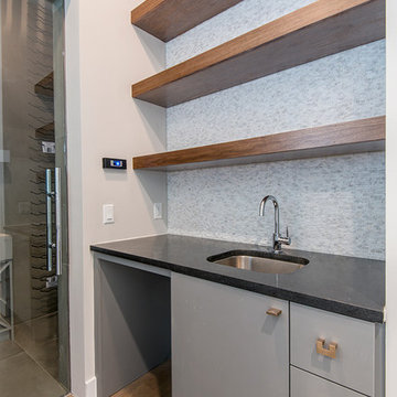 Elevated Meyerland Modern