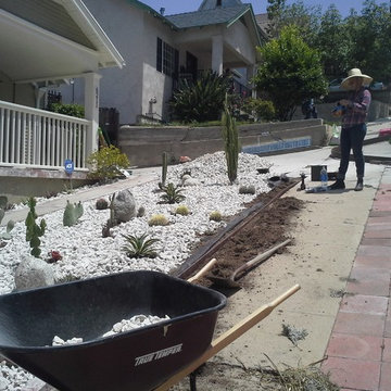 Fun(ky) Cactus Garden in progress
