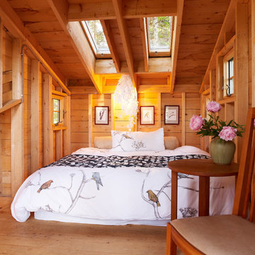 Island Treehouse, Coast of Maine