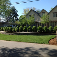 Landscaping
