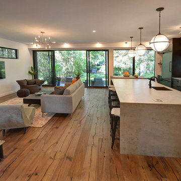 Living Room / Kitchen