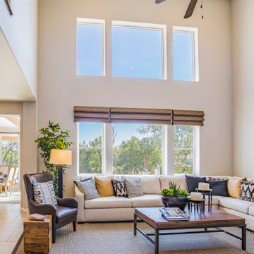 Arizona Window and Doors by Anlin Window and Doors
