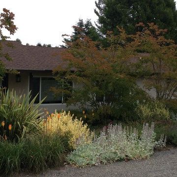 Sebastopol Retreat