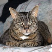 Chris Rotz's photo