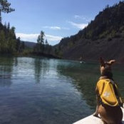 Brenna Malanovich's photo