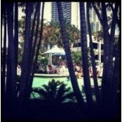 Lara Ters's photo