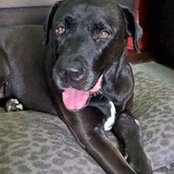 Linda McSweeney's photo