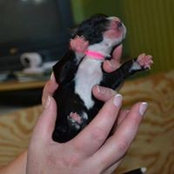 Michelle Tift's photo