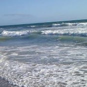 Ann Pedersen's photo