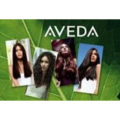 Philippe Avedas foto
