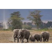 Mary O'Herron's photo