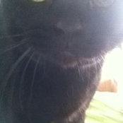Laura Orzabal's photo
