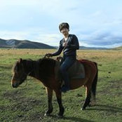 Photo de Ang Li