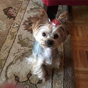 Terry Barbee's photo