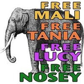 Mo Cesano's photo