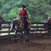 Cheryl Stomberg's photo