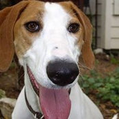 Kathleen Lessner's photo