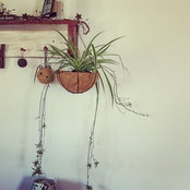Kayla Crouse's photo