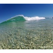 Jasmin Hanson's photo