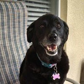 Nancy Piscitello's photo
