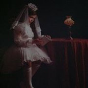 Bernadette Vaughan's photo
