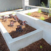 Front Yard Landscaping