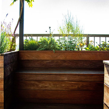 Tropical Rooftop Garden