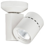 WAC Lighting - 52W Exterminator II LED Energy Star Monopoint Flood Beam 3500K, White - The LEDme Exterminator II offers superior light output in a compact, unobtrusive design. The Exterminator II collection was developed for upscale residential and commercial environments, with superior illumination, in a compact design. Available in three high powered LED monopoint options in 14W, 23W, 35W, and 52W, comparing up to a 100W HID equivalent. The canopy is included with the monopoint, and can be ordered with an extension rod (6", 12", 18", 24", 36") to drop the head.