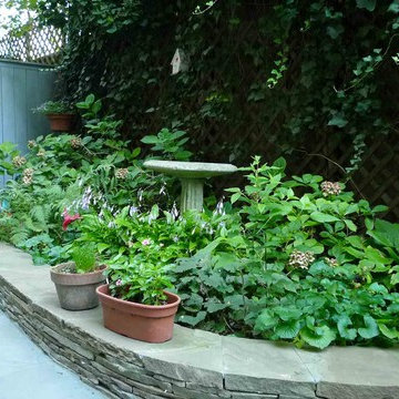 Small Shady Garden Brooklyn