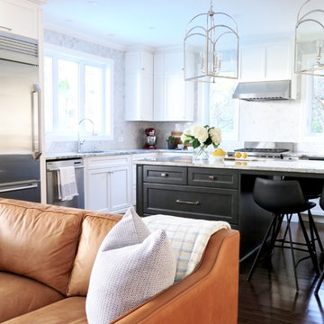Transitional Home Extension