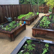 Planter Boxes