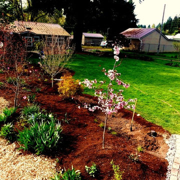 Master Gardener Landscape Makeover Rain Garden