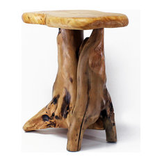 Unique Root End Table