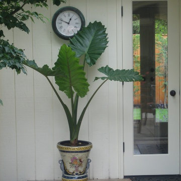Bellevue Patio