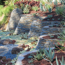 Rocks Garden ideas