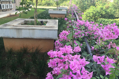 Dynamix Parkwoods garden construction