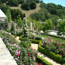 Landscaping Ideas