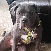 Margie Dixon Schoch's photo