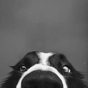 Ralf Kollmus's photo