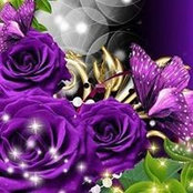 Laura Faulkner's photo