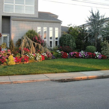 Landscape Designs