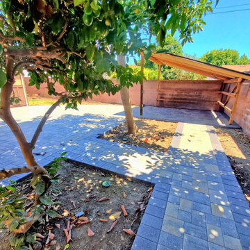 Backyards & Gardens