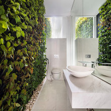 Plantes Intérieures