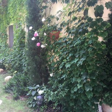 Lyon Garden