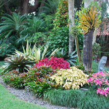 la quinta