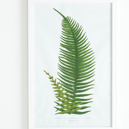 Perennial Fern Print - Japanese - Artwork