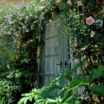 Climbing Pink Eden