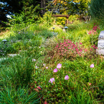 Grassy Meadow Oasis - Reduces Waste While Increasing Habitat