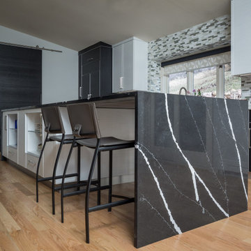 Bold Black and White Modern Kitchen